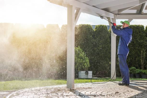 Best Driveway Pressure Washing  in Lmyra, PA